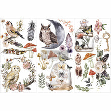 Load image into Gallery viewer, Forest | Rub On No Water Transfer | ReDesign with Prima | Small Decor Transfers for Furniture