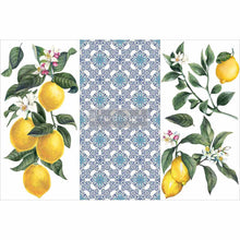Load image into Gallery viewer, Lemon Tree | Rub On No Water Transfer | ReDesign with Prima | Small Decor Transfers for Furniture