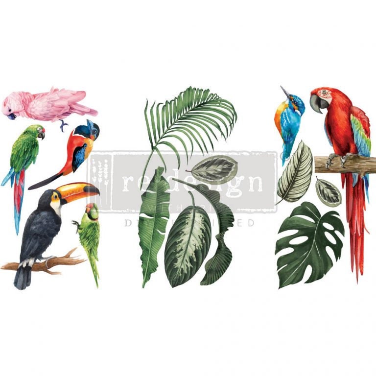 Tropical Birds | Rub On No Water Transfer | ReDesign with Prima | Small Decor Transfers for Furniture - New Release