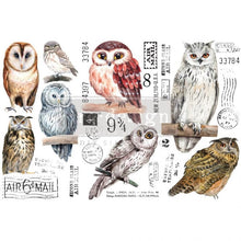 Load image into Gallery viewer, Owl transfer 3 sheets 6&quot; X 12&quot; each, Prima Redesign Transfer, Furniture Transfers, Owl, Rub on decal
